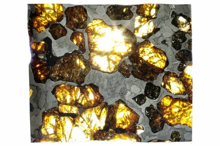 Polished Imilac Pallasite Meteorite () Slice #313650